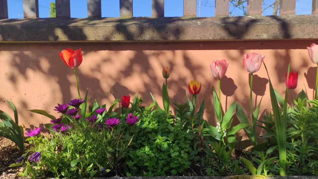 A Casa Di Frank Otel Sora Dış mekan fotoğraf